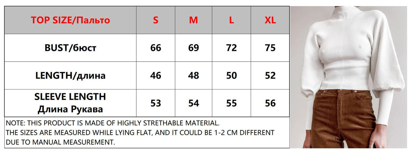 Casual Balloon Sleeve Turtleneck Sweater