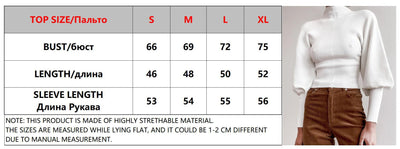 Casual Balloon Sleeve Turtleneck Sweater